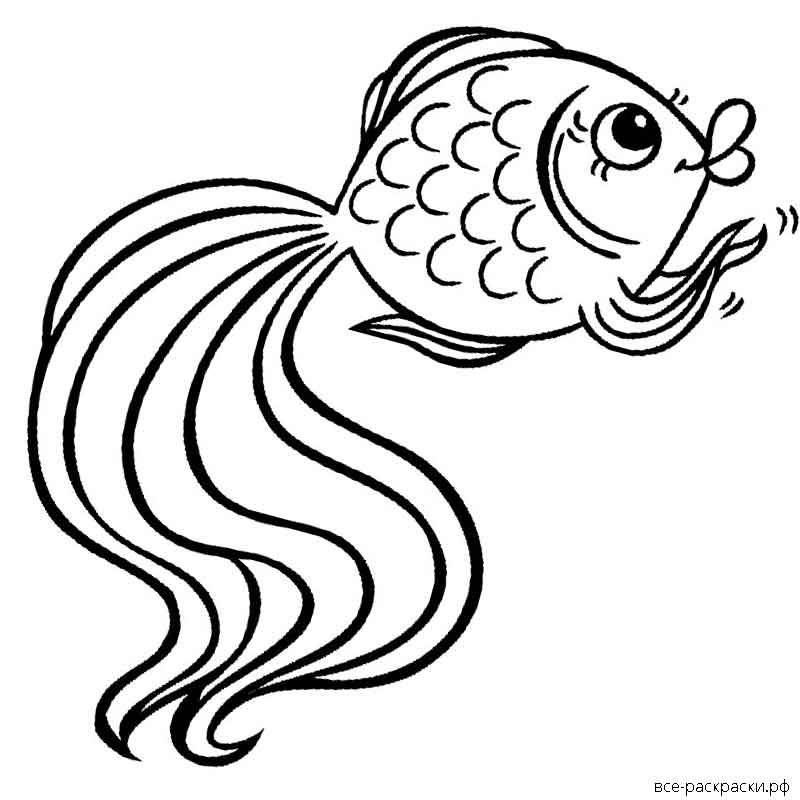 Раскраска Сказка о Золотой рыбке