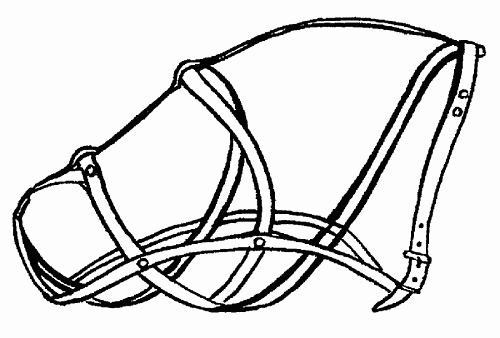 Намордник рисунок
