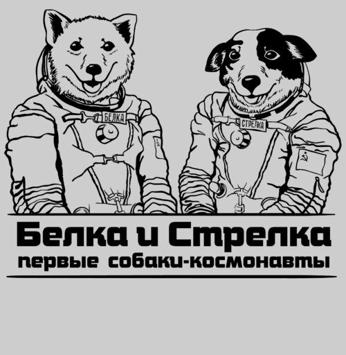Белка и стрелка в космосе
