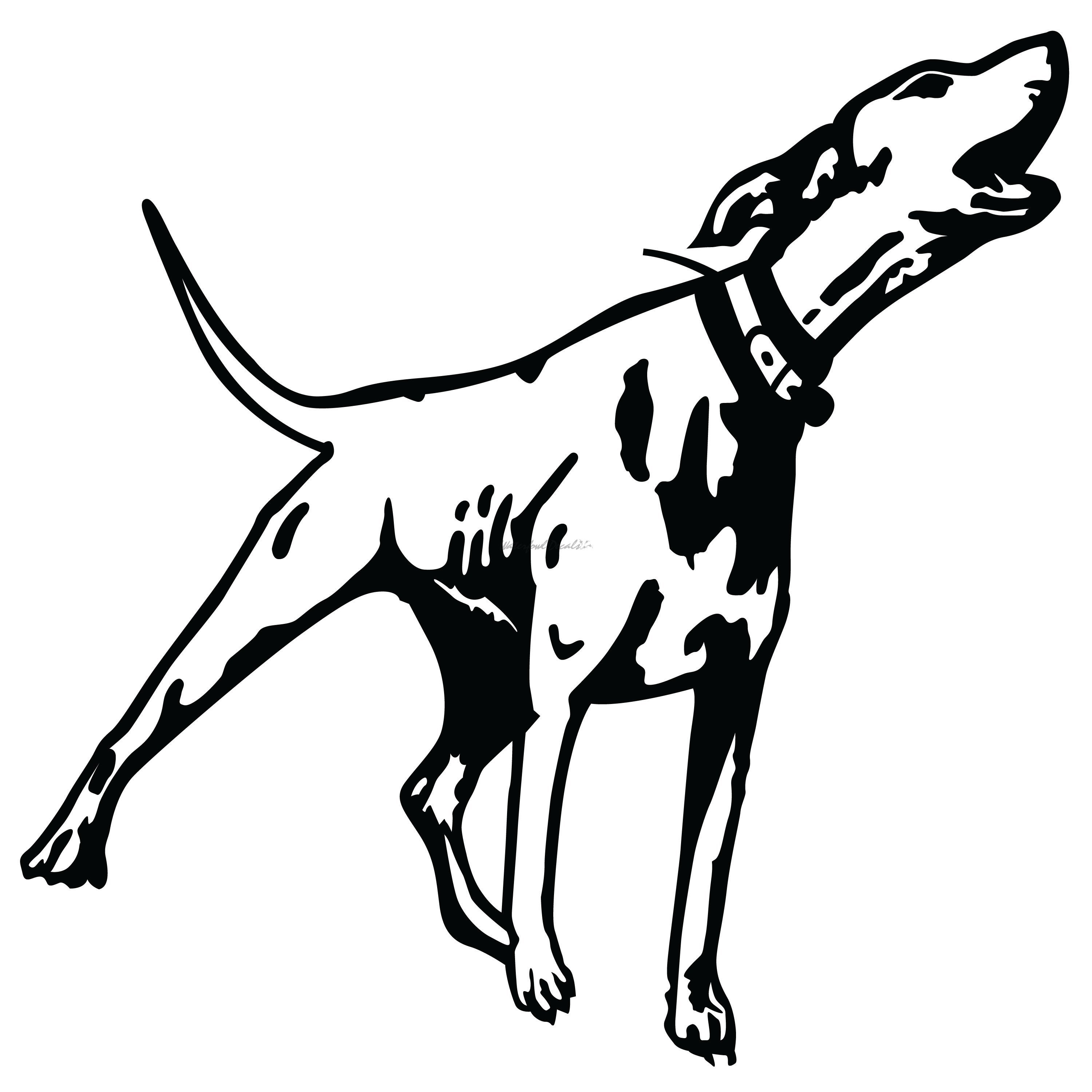 Раскраски собака лает (39 фото) » Картинки, раскраски и трафареты для всех  - Klev.CLUB
