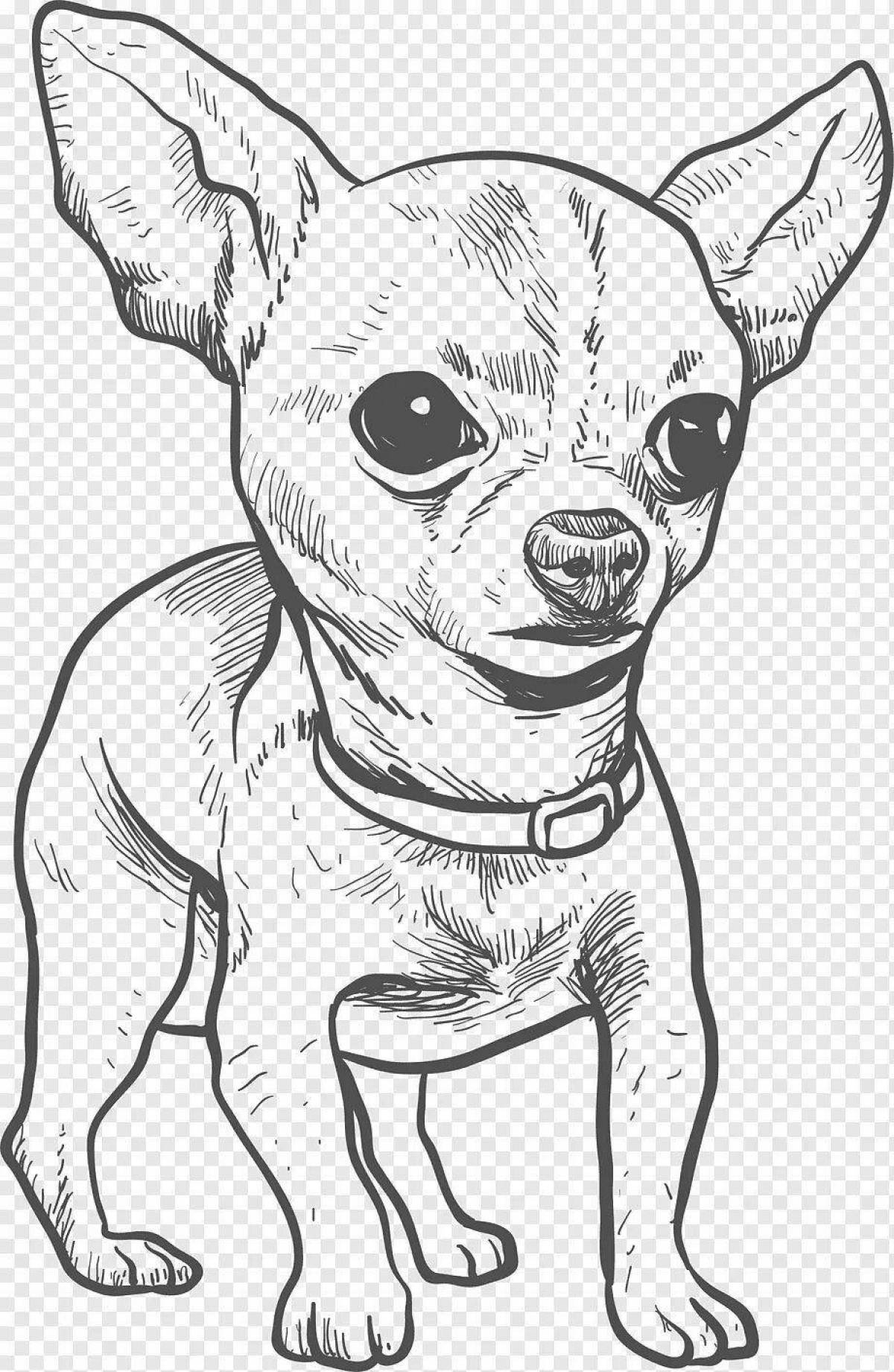Детский рисунок собаки той терьер (47 фото) » рисунки для срисовки на баштрен.рф