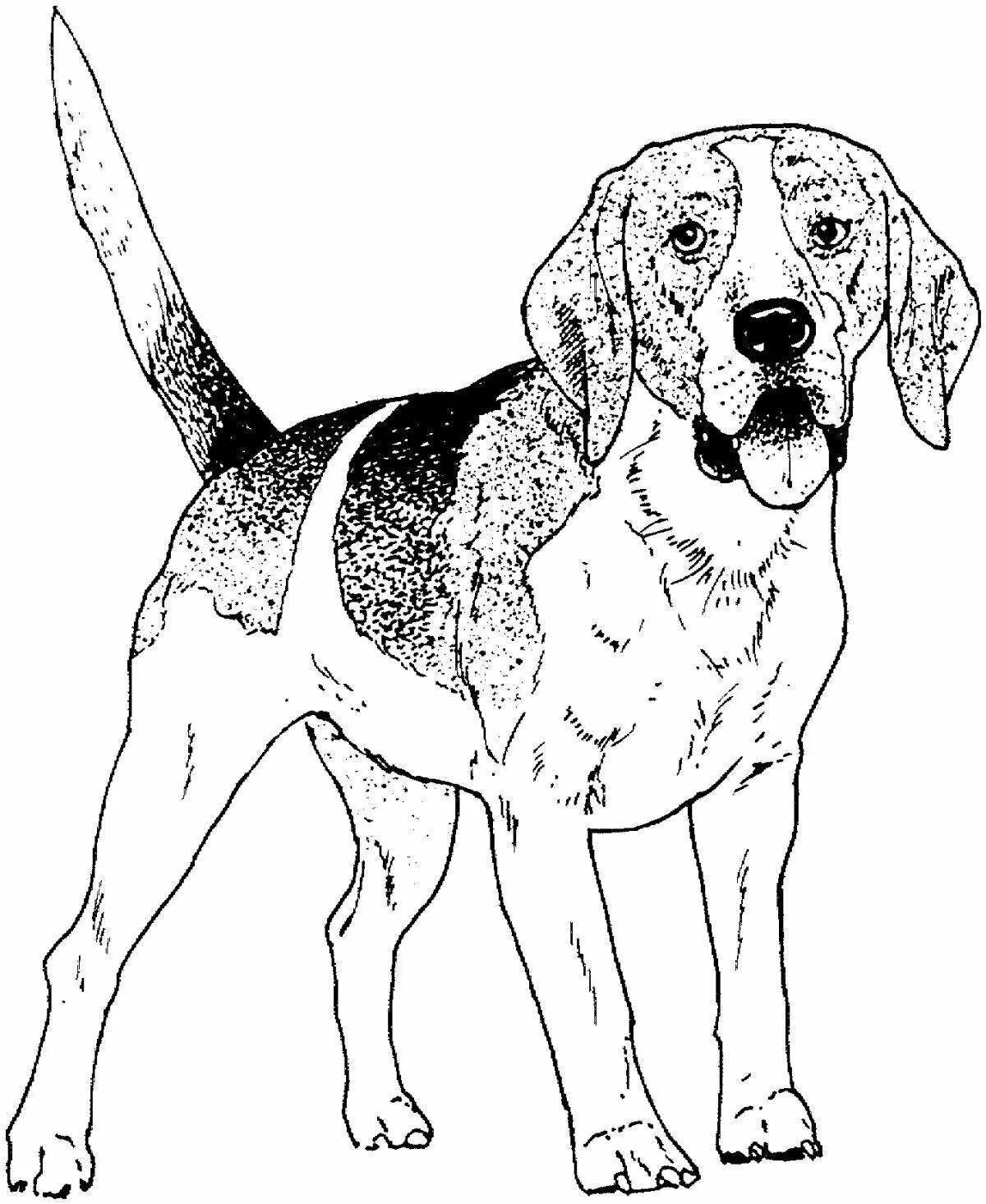 Стоковые векторные изображения по запросу Раскраски собака кошка