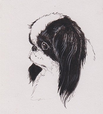 Японский Хин рисунок