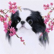 Силуэты японского Хина
