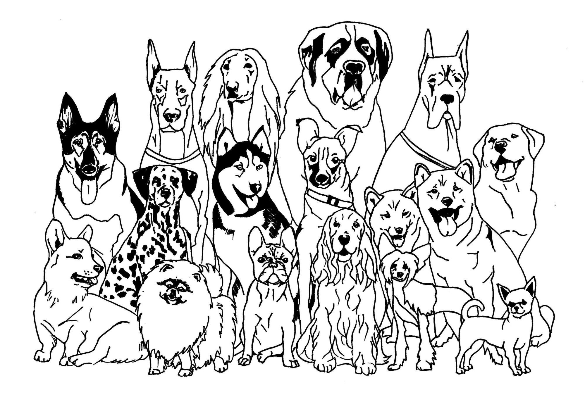 Собака - раскраска для детей бесплатно распечатать картинки | Раскраски, Контурные рисунки, Рисунки