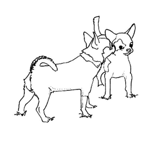 Кошка из бэбели Хилс раскраска