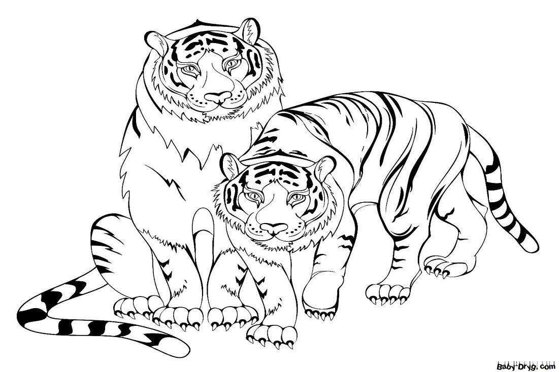 Рисунок раскраска тигренок для детей (47 фото)