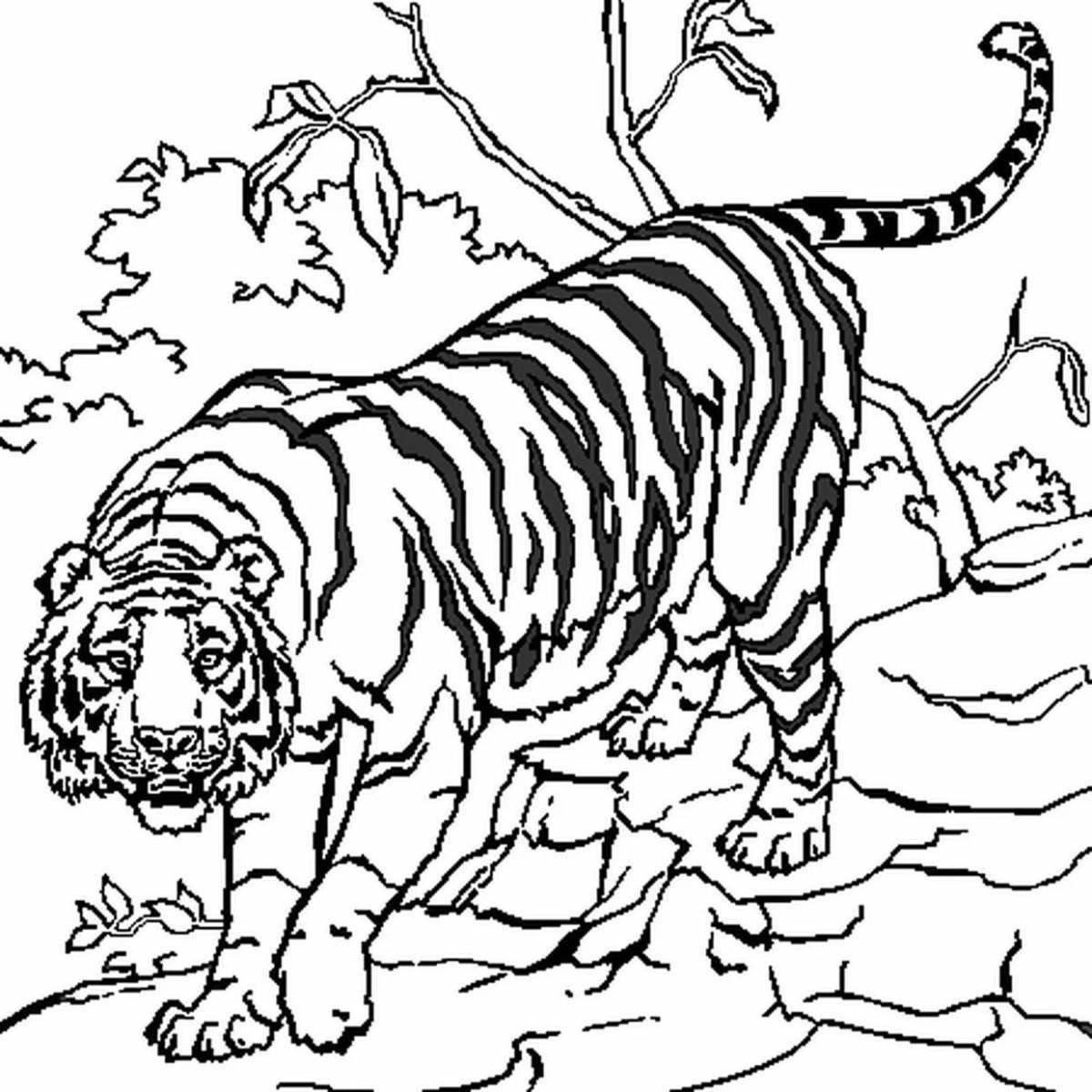 Изображения по запросу Раскраска тигр