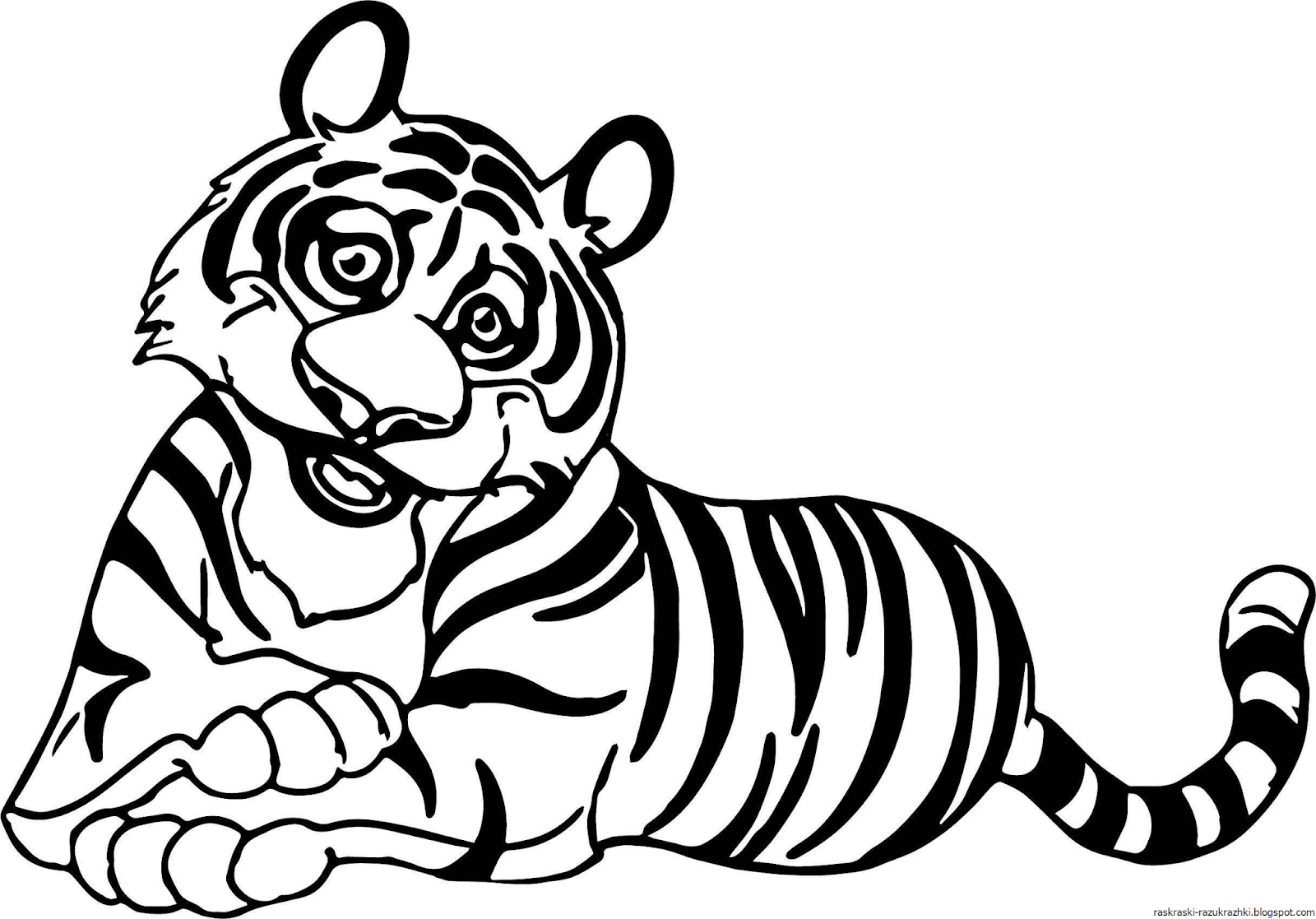 Раскраска Тигр распечатать или скачать