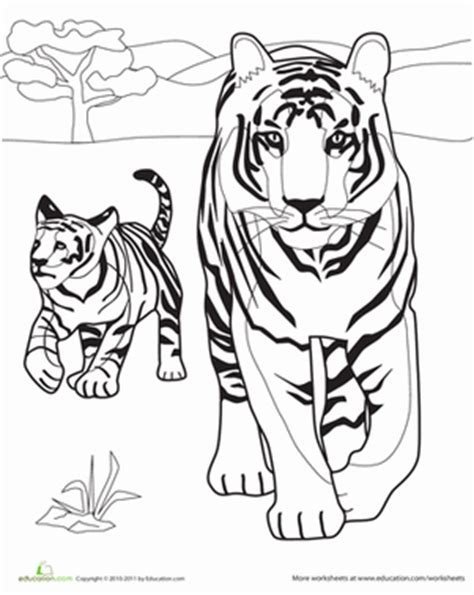 Раскраски тигр и кролик (43 фото)