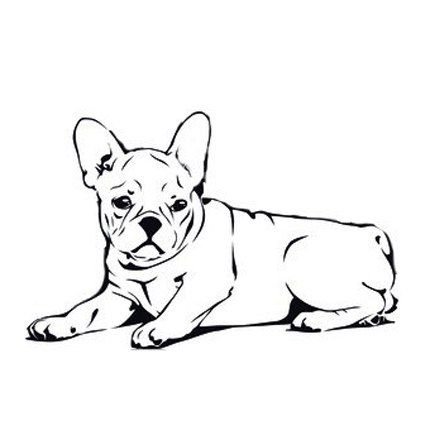 Раскраски французский бульдог щенки (41 фото)