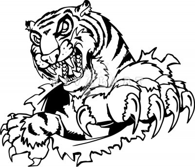 Раскраски коготь тигра (39 фото)
