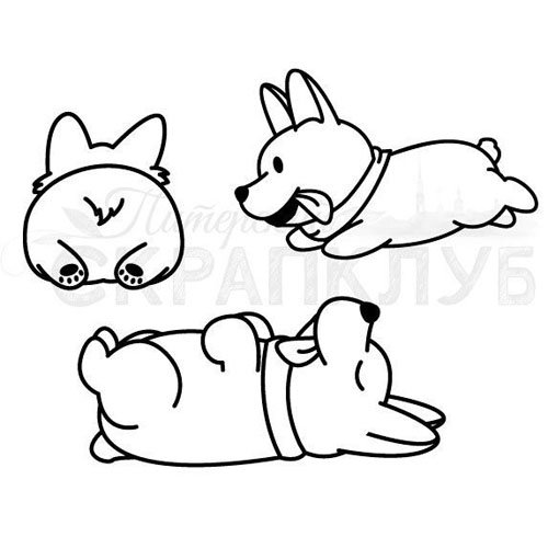 Раскраски корги милые