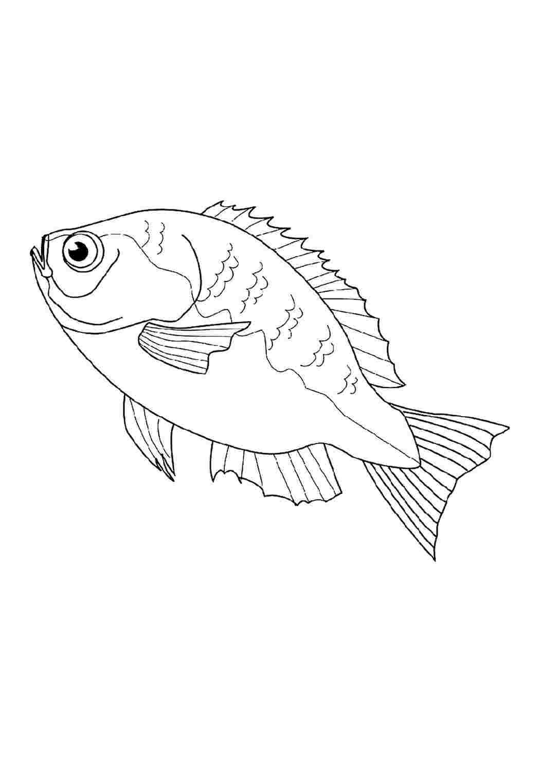 Раскраски рыб | Раскраски, Черно-белое, Картинки