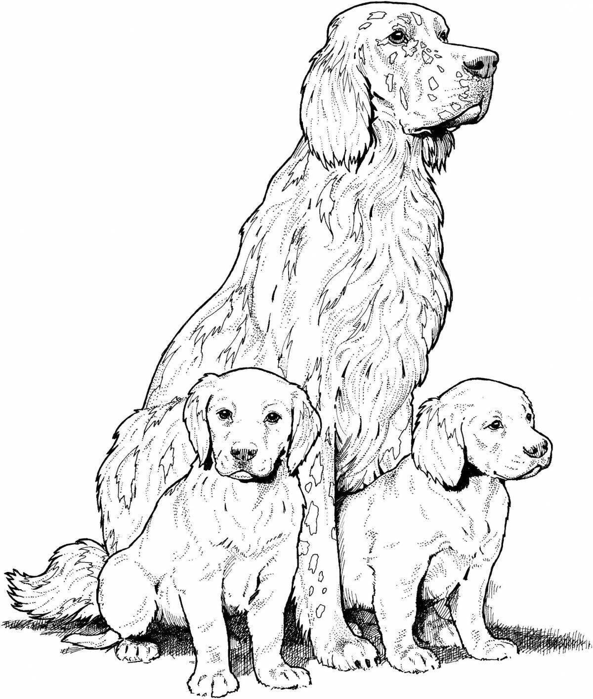 Раскраска Собака и два щенка, скачать и распечатать раскраску раздела Животные и их детеныши