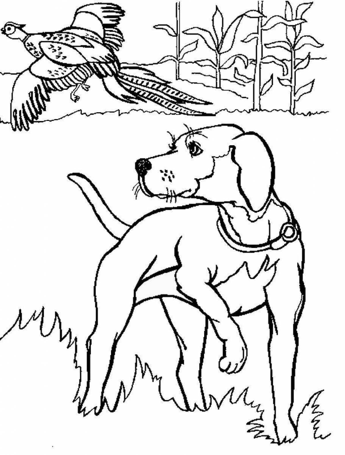 Раскраска Собаки, щенки #43 распечатать бесплатно