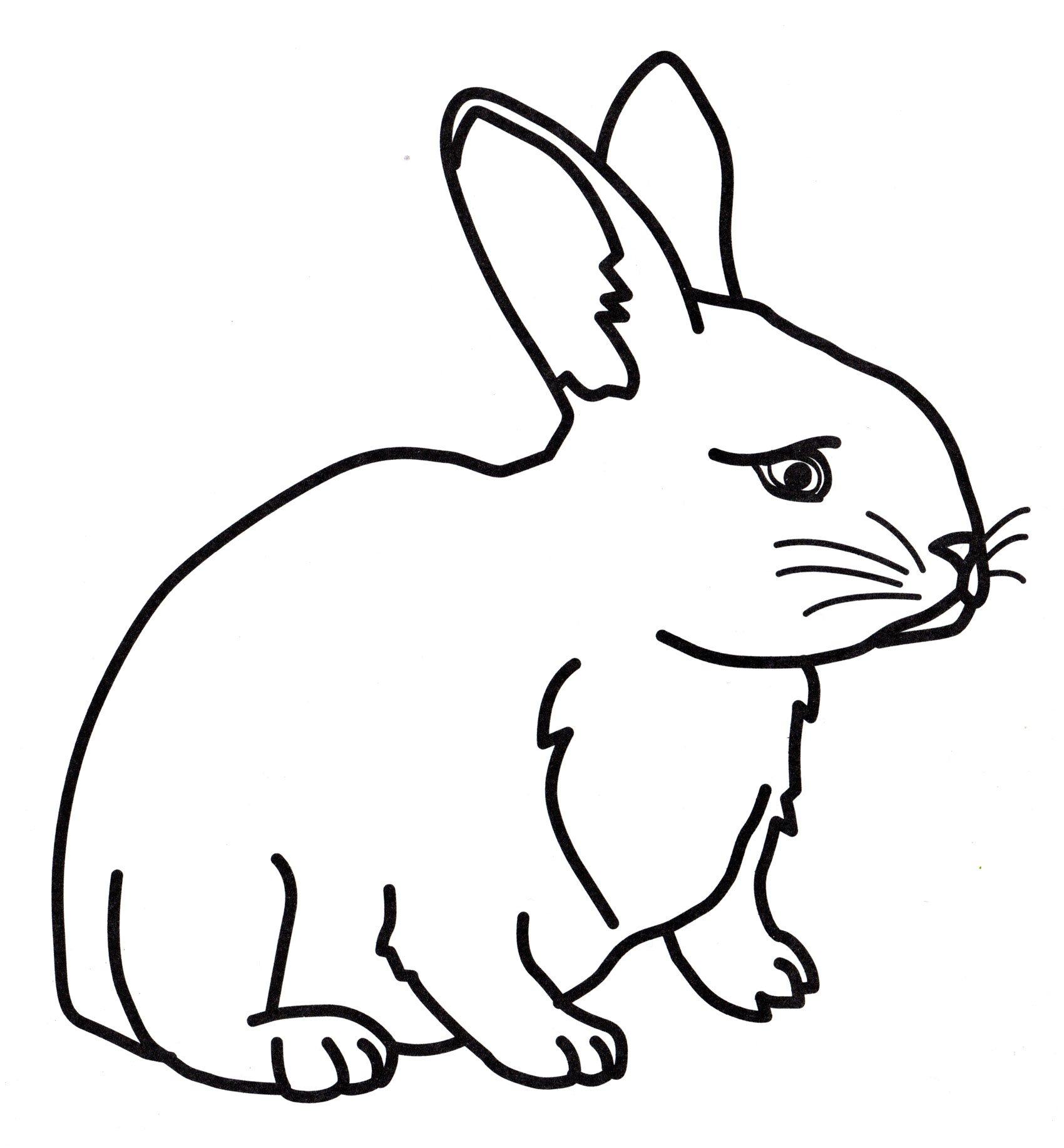 Раскраски кролики: Анимированные картинки и гифки