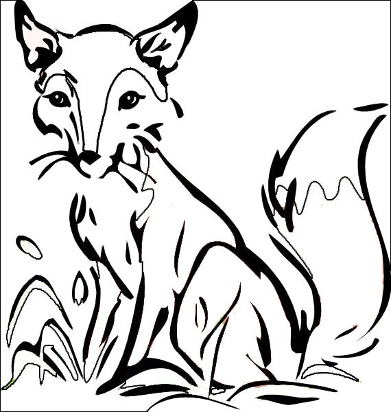 Королевская лиса раскраска