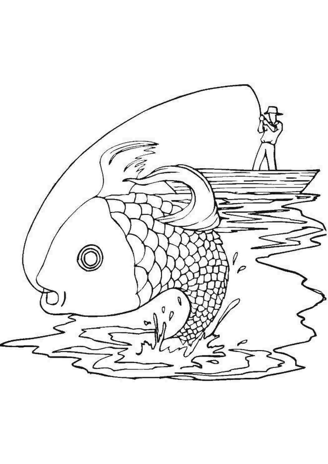 Рыбалка рисунок: векторные изображения и иллюстрации, которые можно скачать бесплатно | Freepik