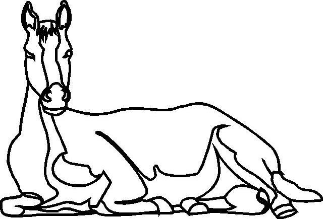Лошадь и жеребенок Раскраска (картина) по номерам Dimensions DMS-91119
