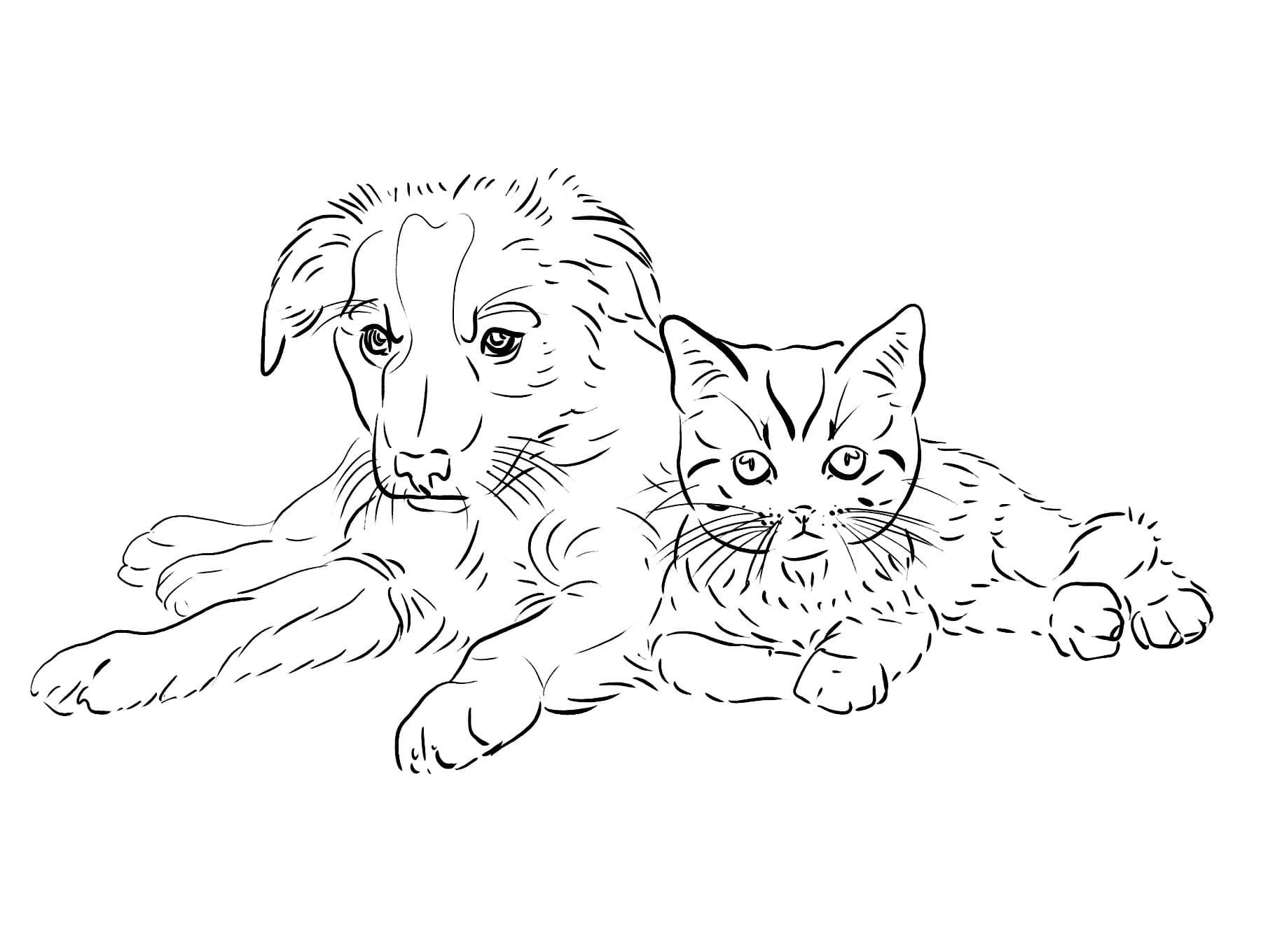 Раскраска Кот и собака распечатать или скачать