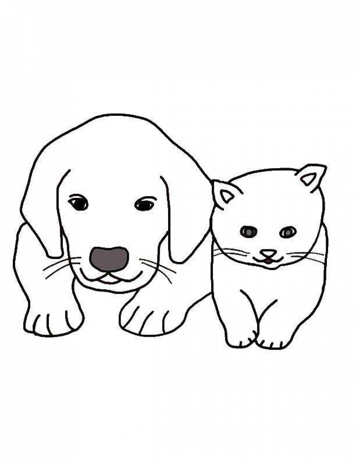 Раскраски котенок и собачка (45 фото)
