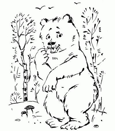 Медведь косолапый раскраска