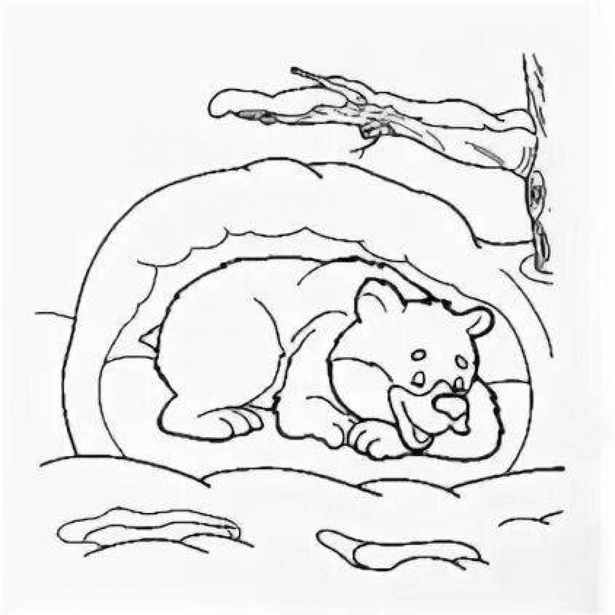 Мишка в берлоге рисунок раскраска (40 фото)