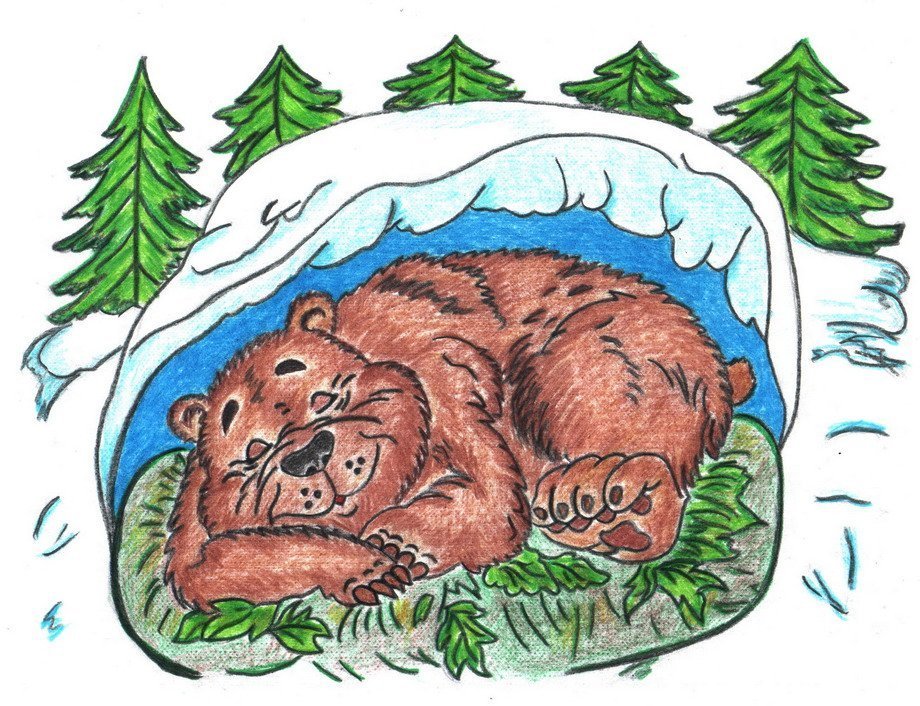 Идеи для срисовки медведь зимой (90 фото)