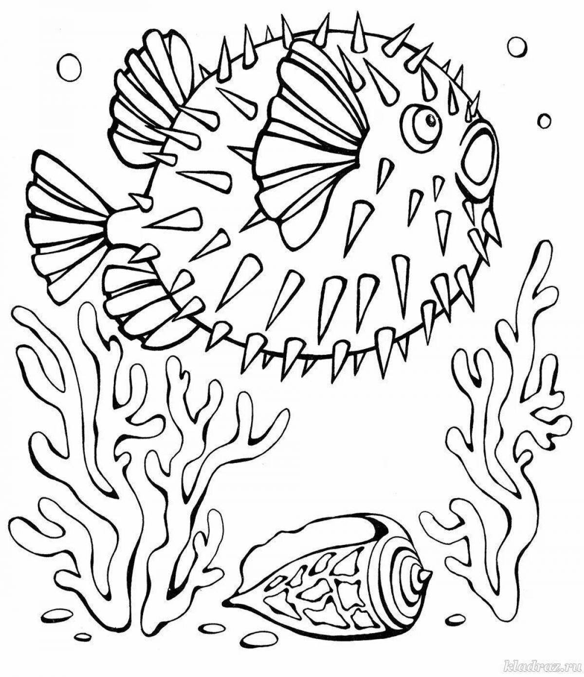 Раскраски морских рыб. Раскраска рыб, обитающих в морях и океанах скачать