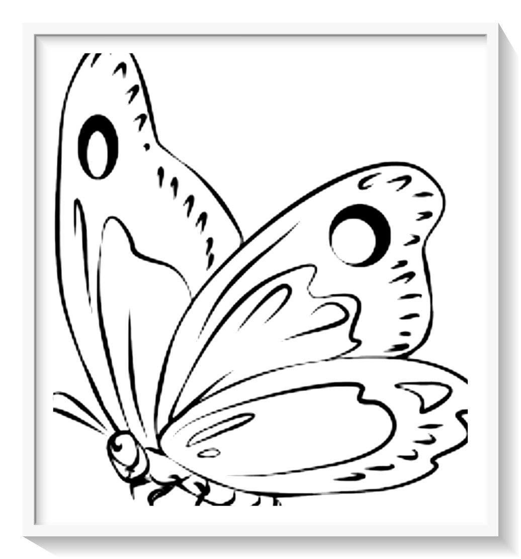Раскраски бабочка для 5 лет - 16 раскрасок для детей бесплатно для распечатки и скачивания