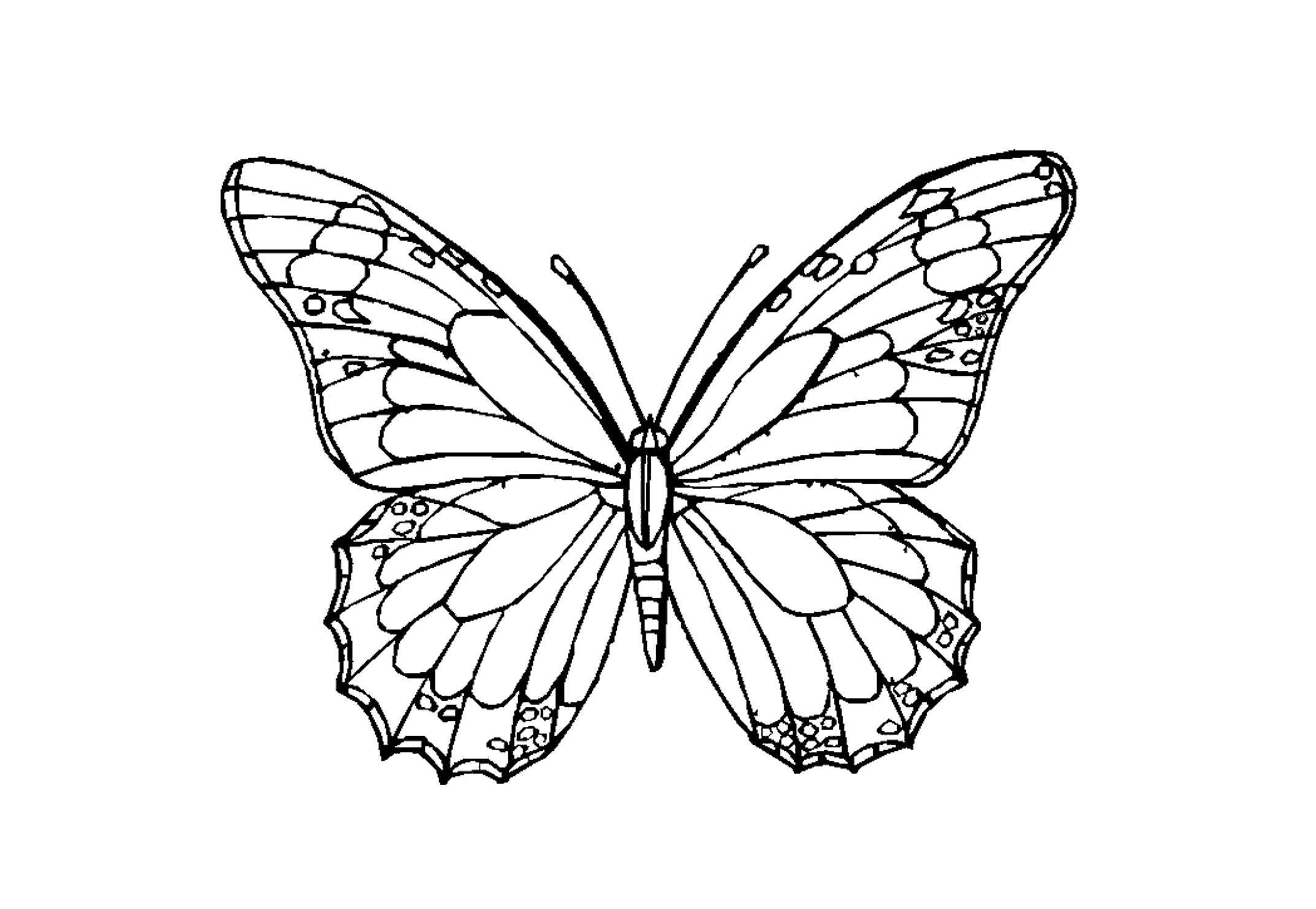 Изображения по запросу Раскраски бабочками детей - страница 6