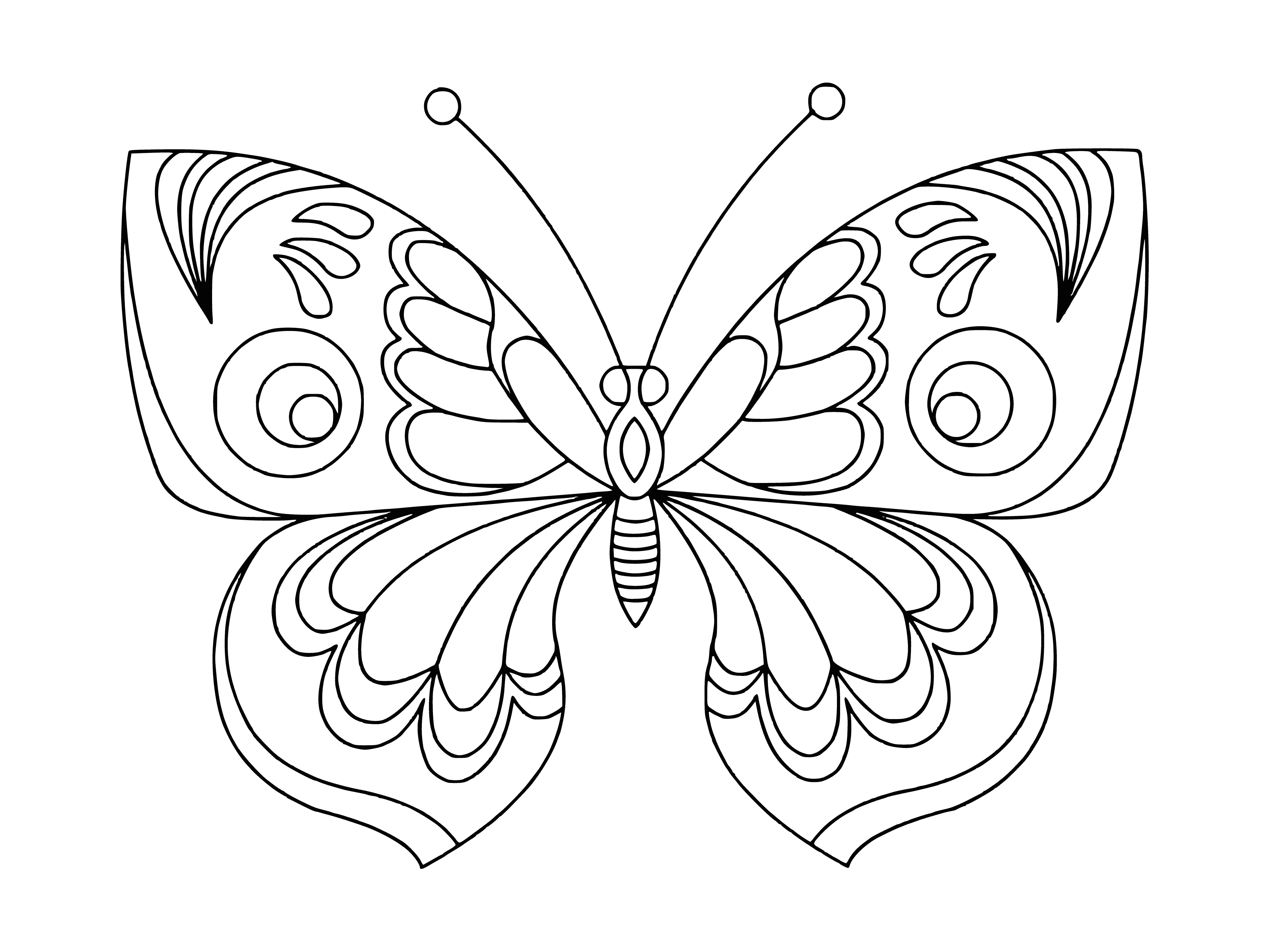 Раскраска бабочки одинаковые - 66 фото