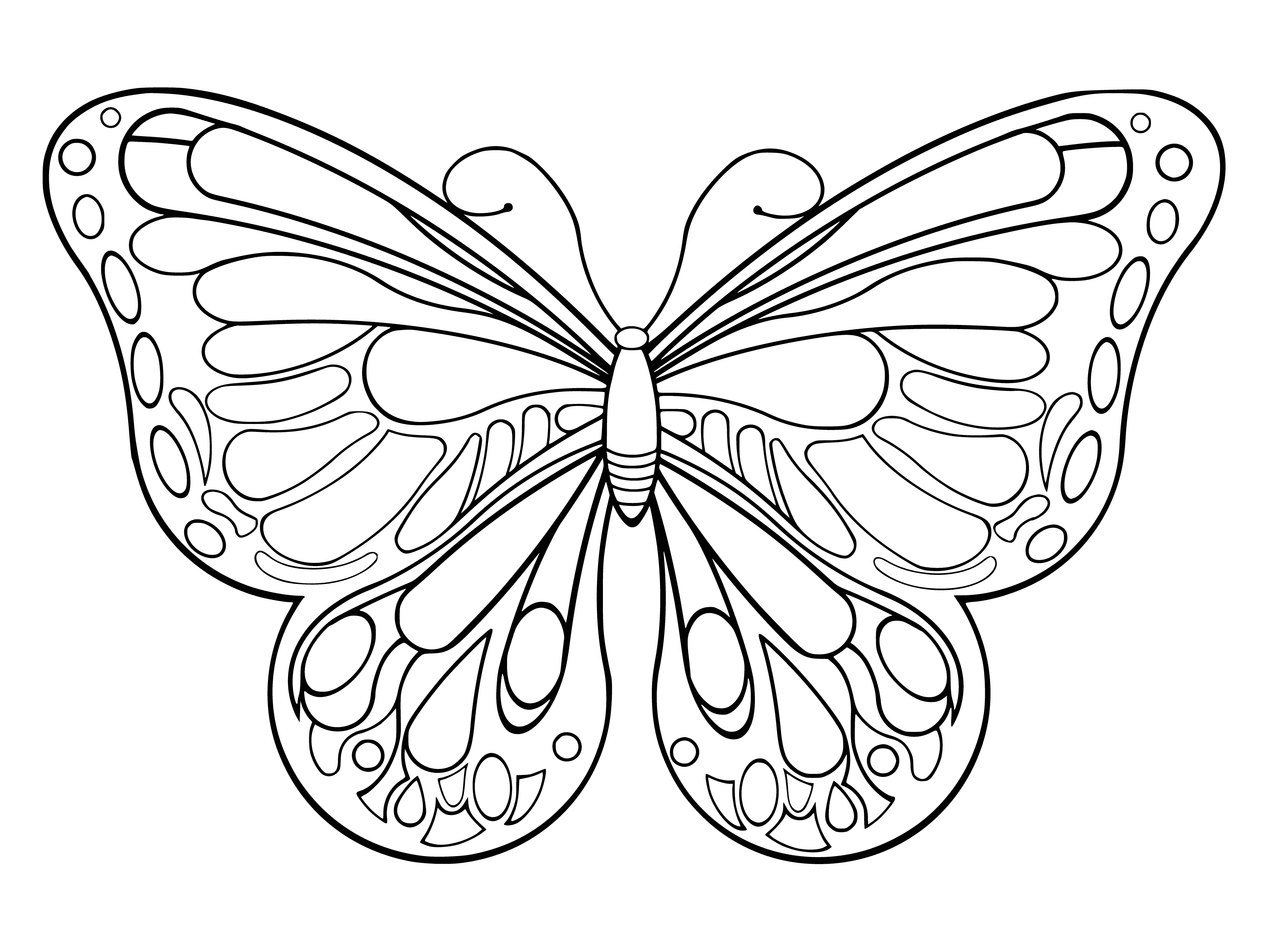 Раскраска Бабочка распечатать бесплатно в формате а4