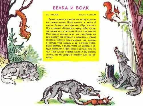 Лев Николаевич толстой рассказ белка и волк