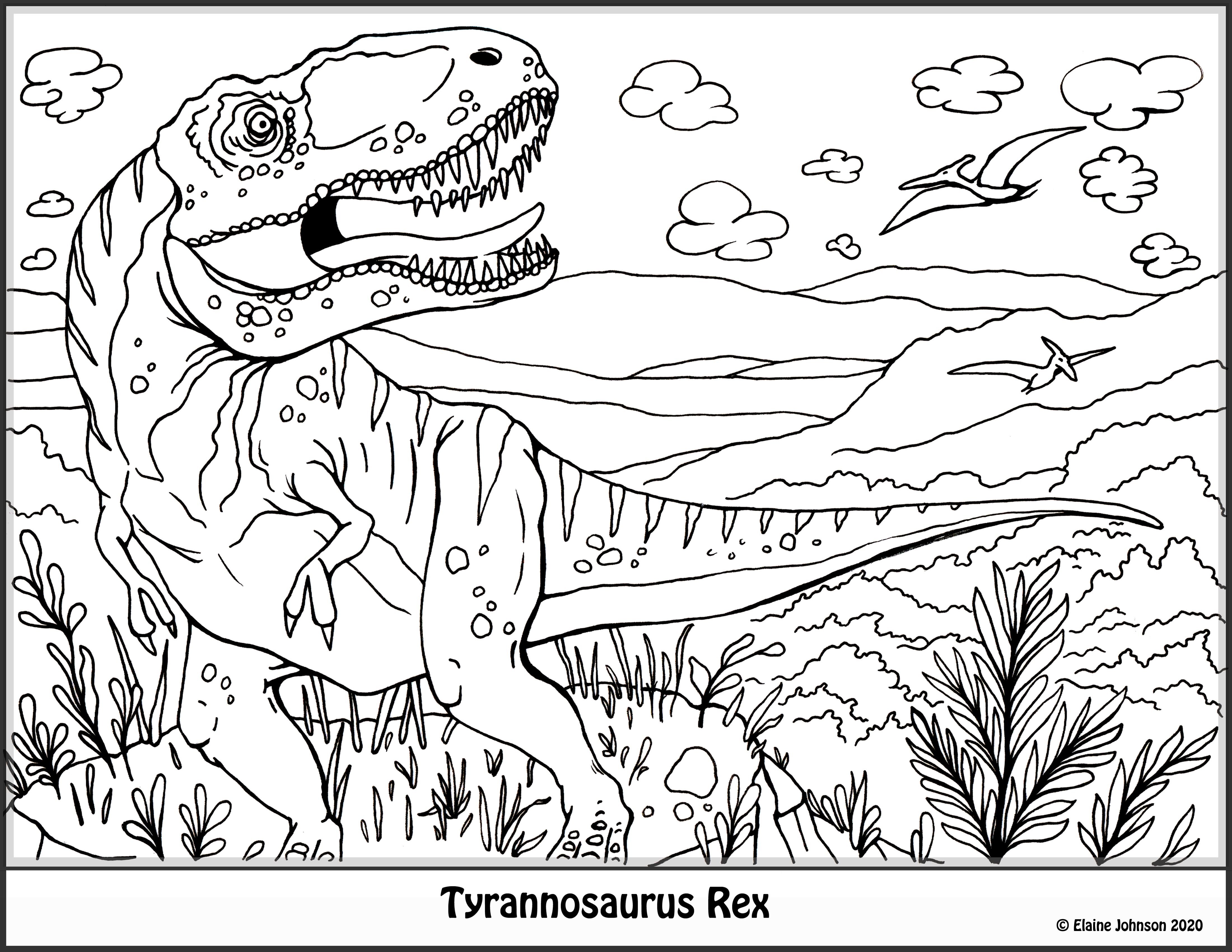 Раскраска динозавр формат а4. Динозавры / раскраска. Динозавр раскраска для детей. Раскраски для мальчиков динозавры. Шонизавр раскраска.