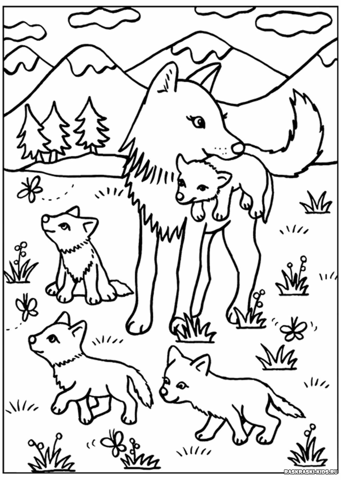 Раскраска Медведь и волк