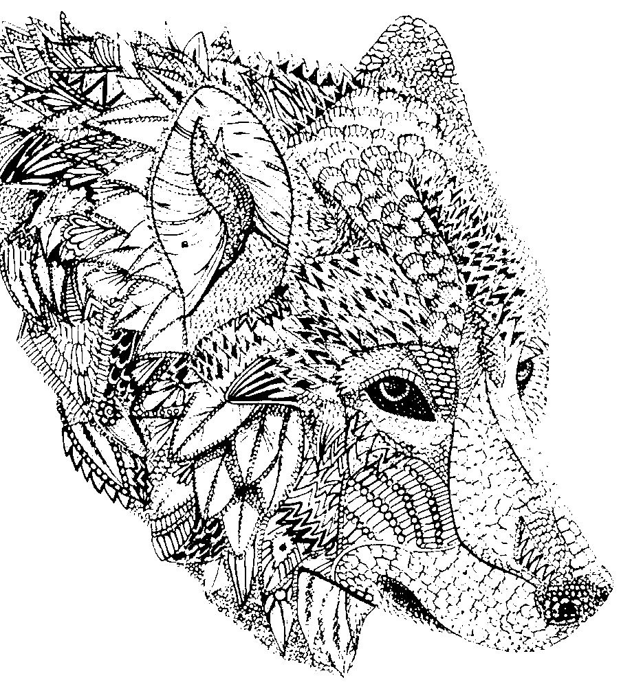 Раскраска волк распечатать картинки - Блог для саморазвития