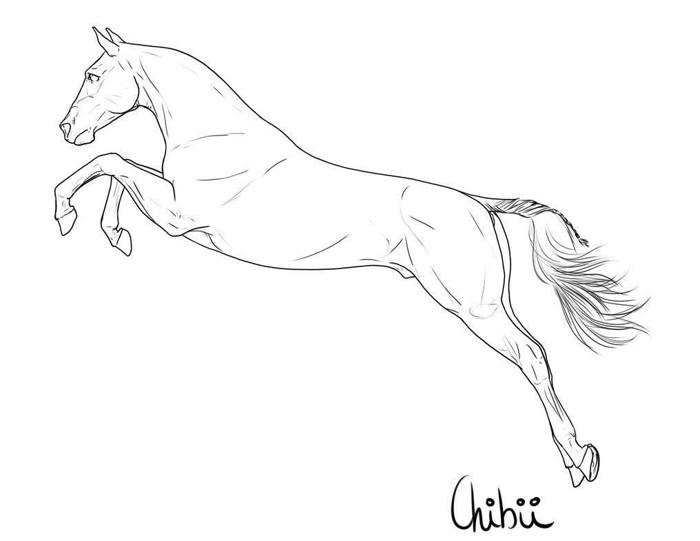 Фото лошадей, рисунки, и иная графика связанная с лошадьми