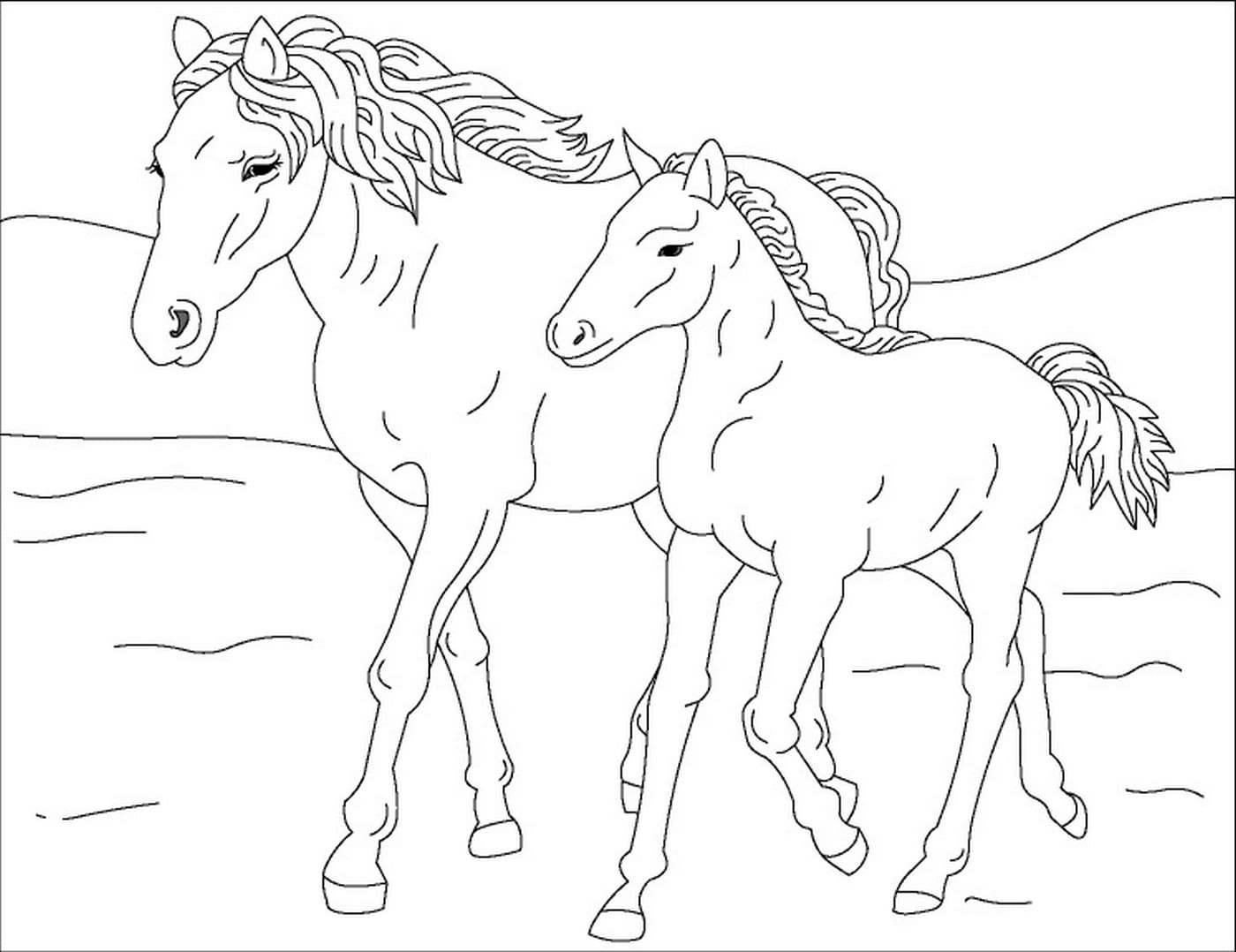 Раскраски по номерам Кони, лошади, Белоснежка купить в компании Ай-па с доставкой по России