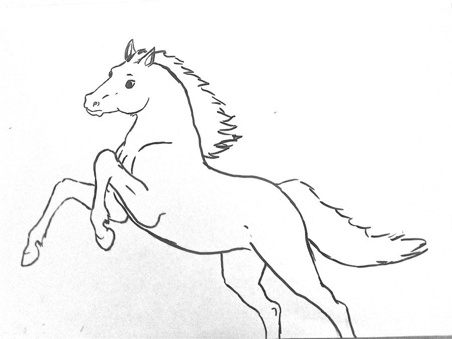 Используйте свои знания теории цвета на практике: рисуем лошадь