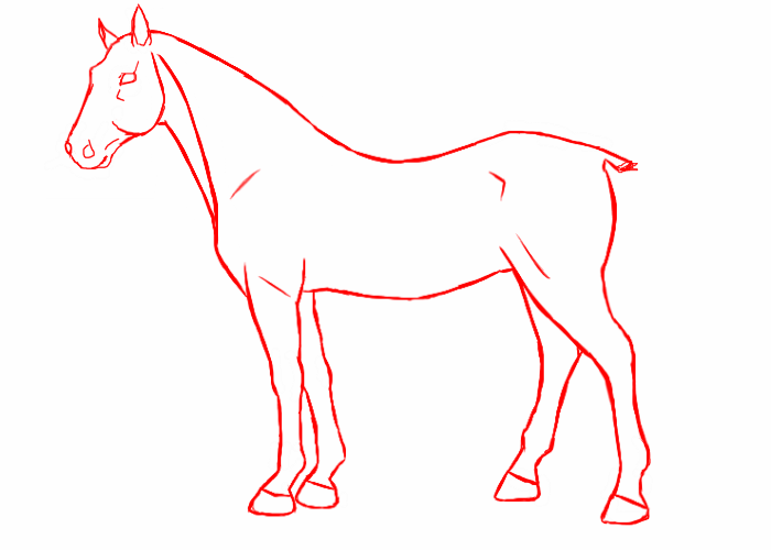 Изображения по запросу Лошадь рисунок