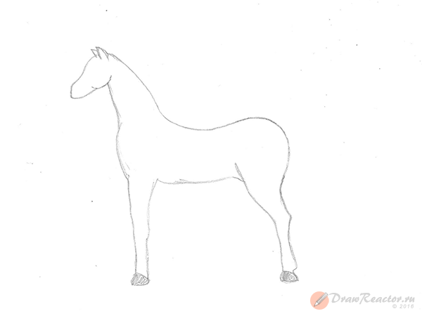 Лошадка без хвоста