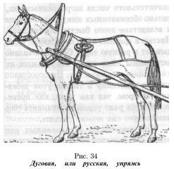 Упряжь для лошади рисунок