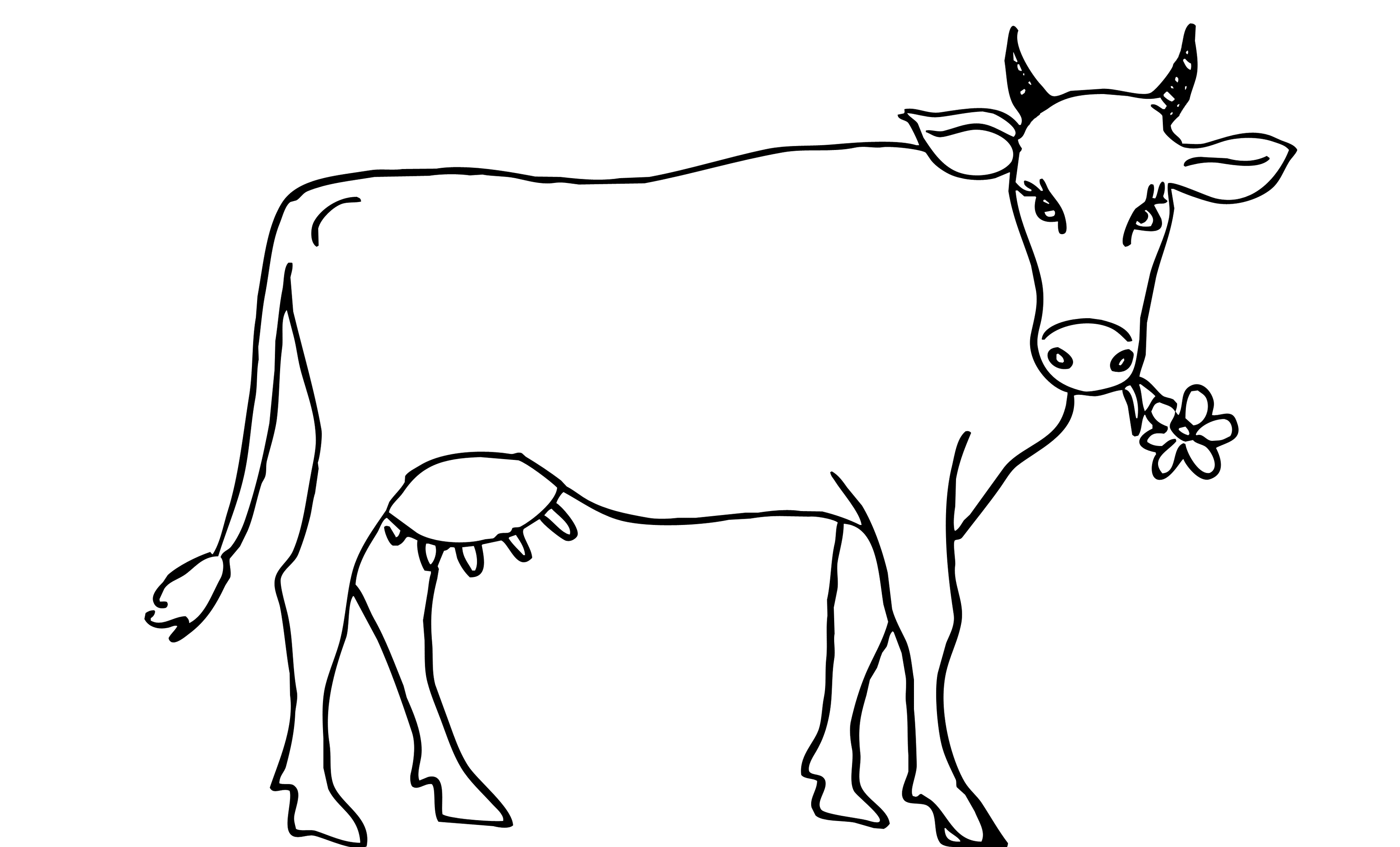 Раскраски животные корова (66 фото)