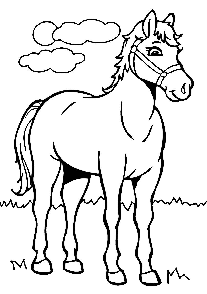 Лошадь рисунок для детей раскраска (48 фото) » рисунки для срисовки на баштрен.рф