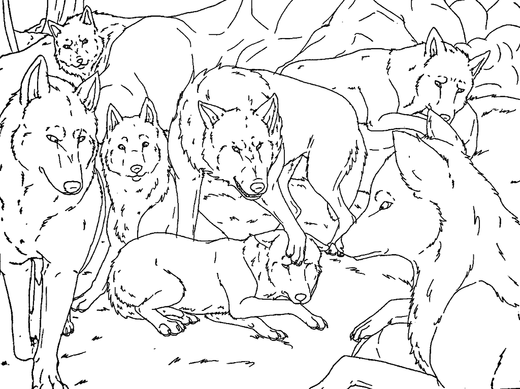 На площадке молодняка играли 5 волчат. Раскраска стая Волков. Раскраска волк. Раскраска семья Волков. Собака и волк раскраска.