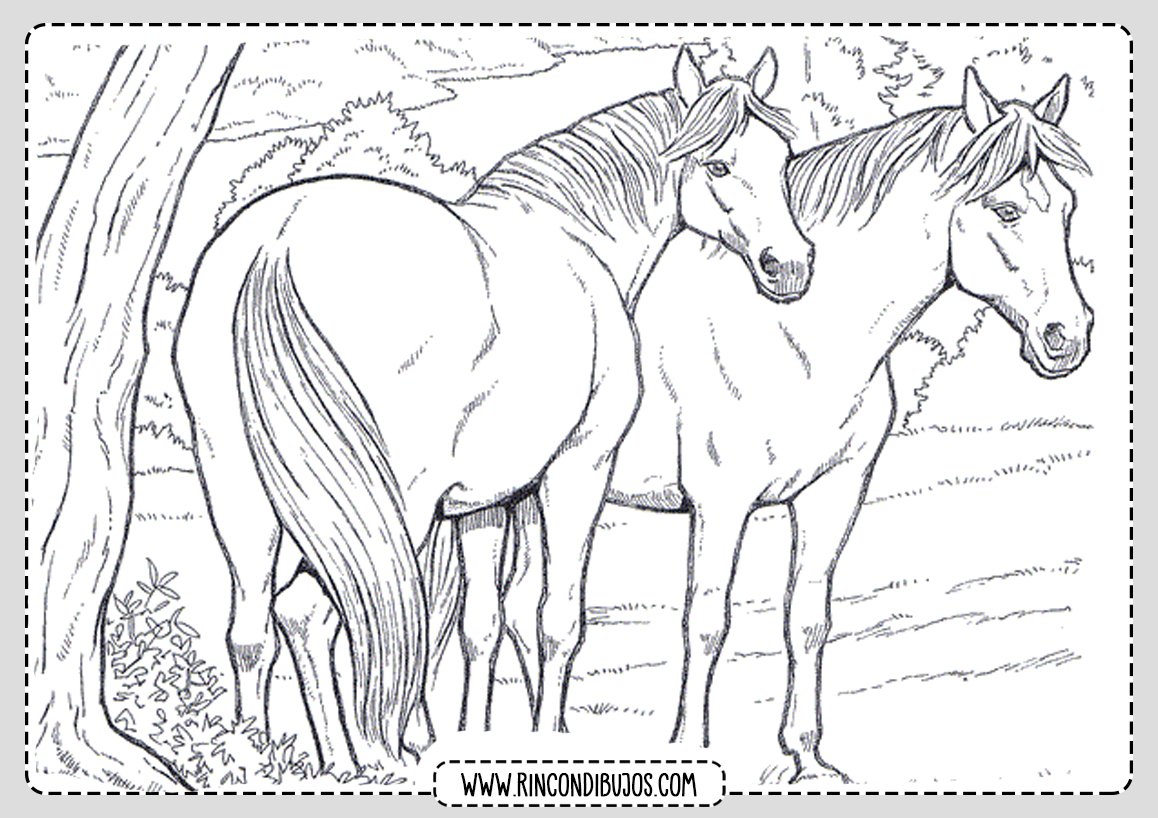 Раскраски животные лошадка (69 фото)
