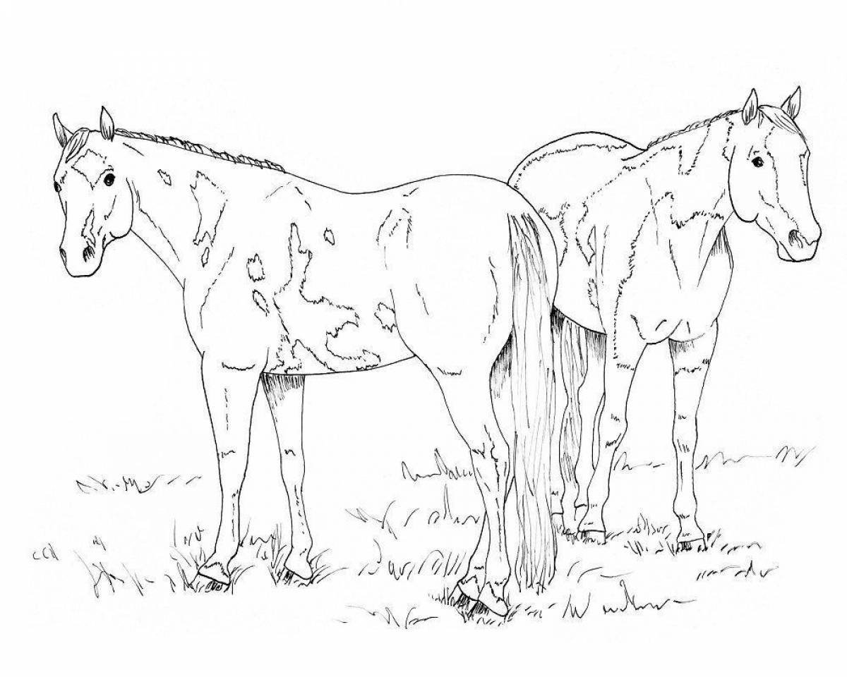 Раскраски лошадь для детей - распечатать бесплатно или онлайн!