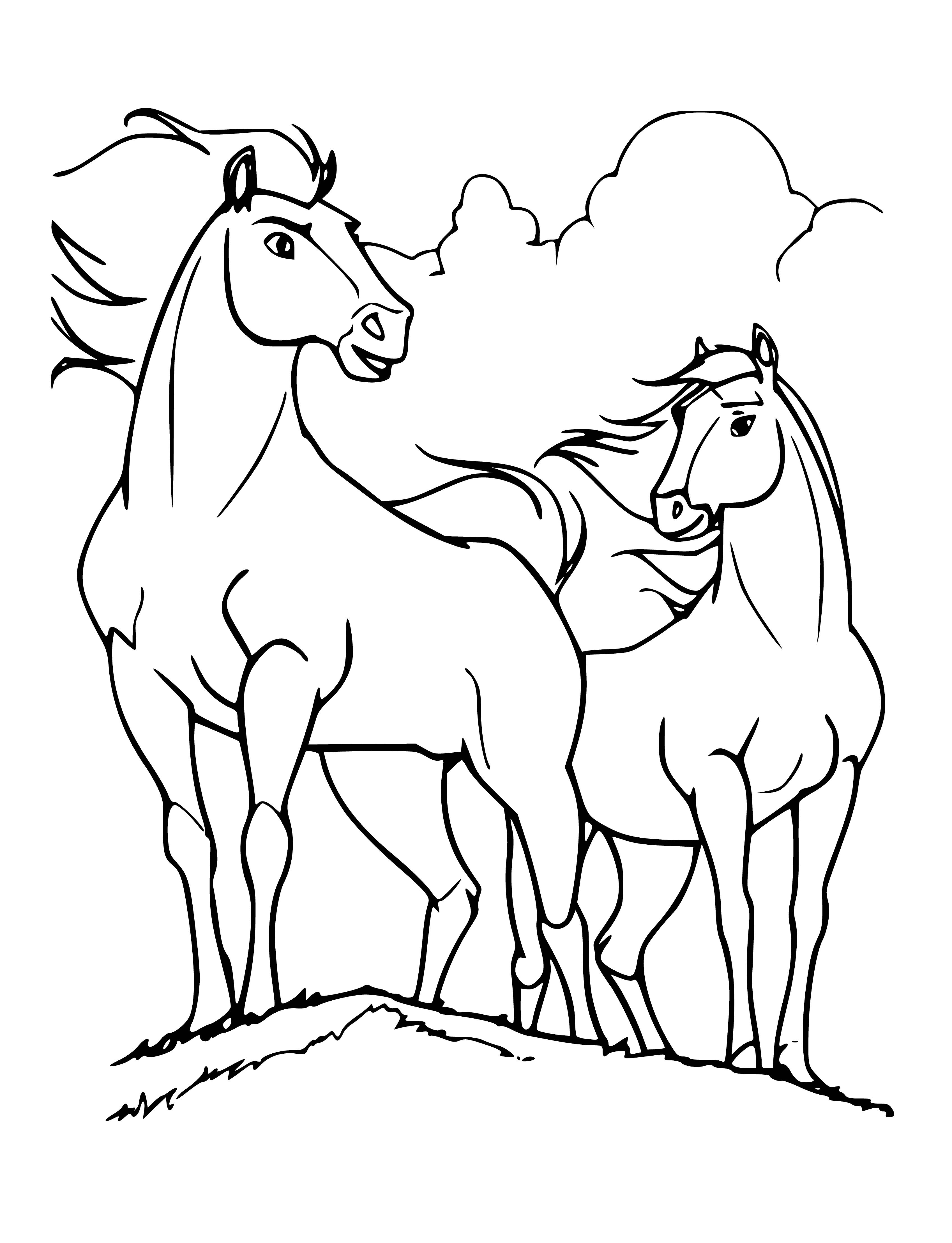Раскраски Спирит, Раскраска Спирит лошадка лошади.
